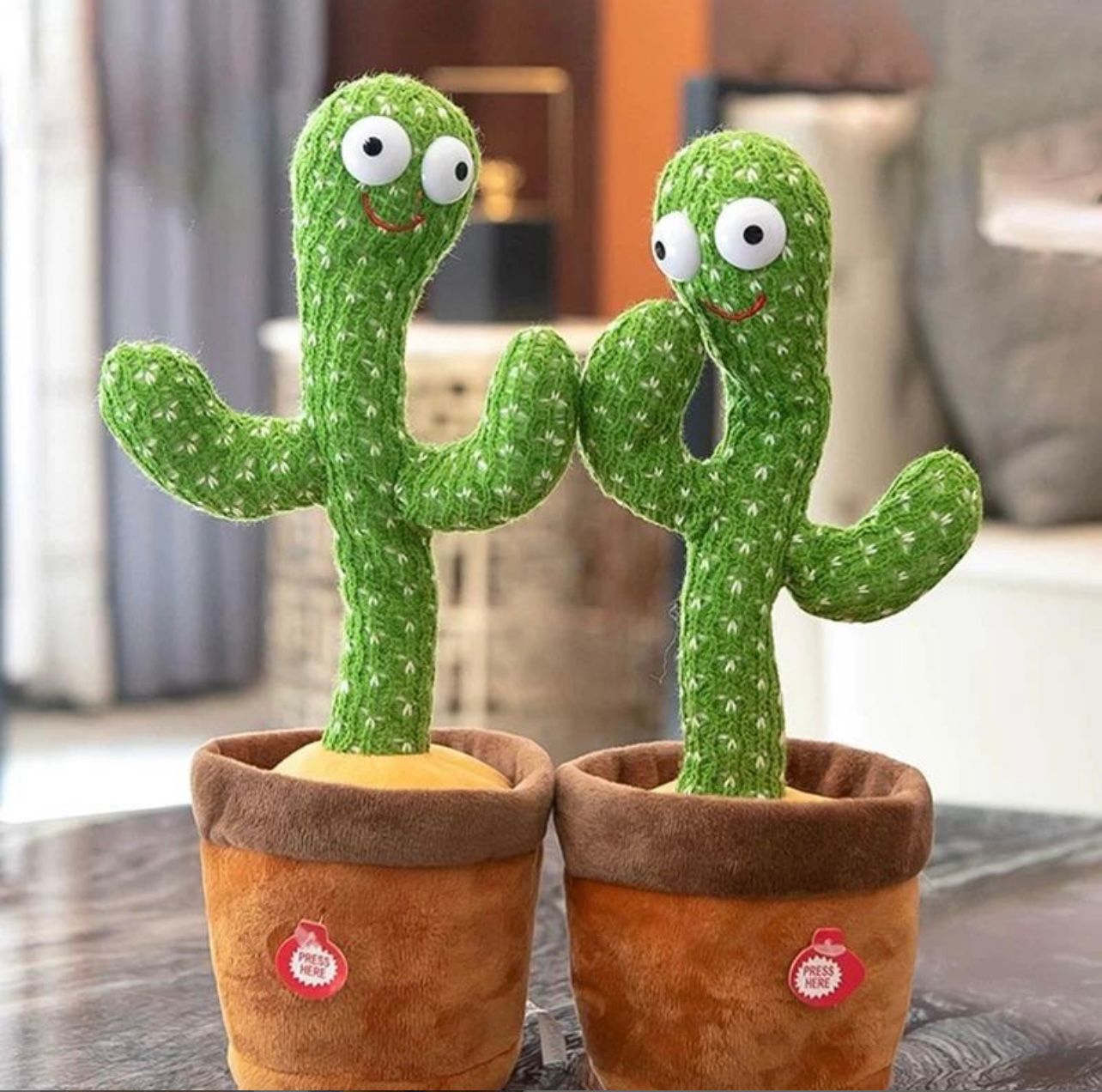 Cactus Bailarín